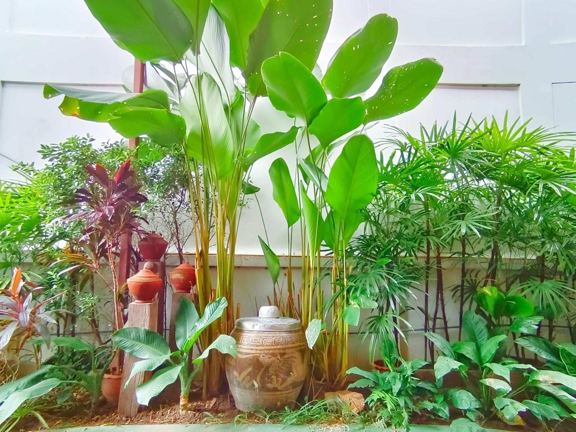 Aphilapa Residence — Photos 3